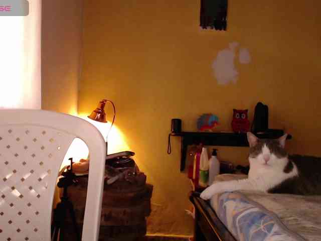 EmmaHenderson webcam