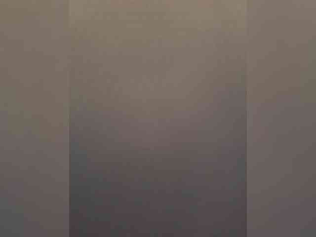SG-310 webcam