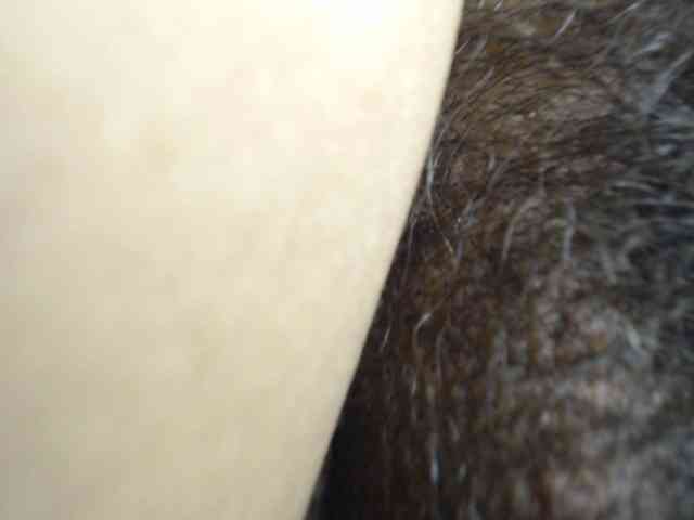 candysour Live Webcam on BongaCams