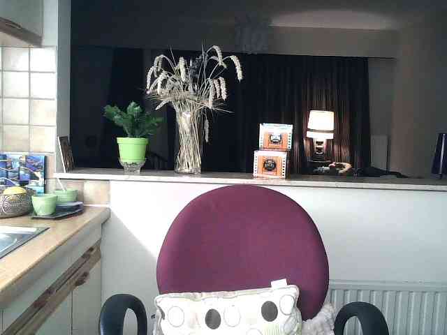 UllimOhi webcam