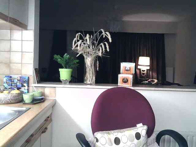 UllimOhi webcam