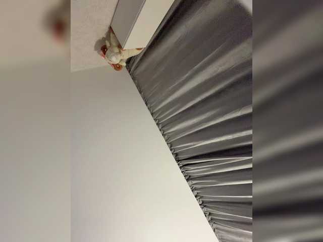 BABYVIK from BongaCams is Freechat