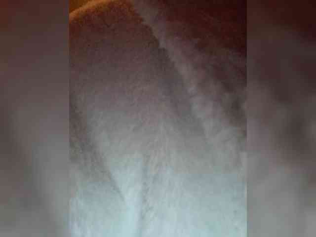 LikaBest webcam