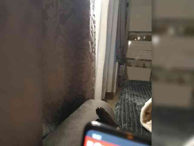 Jasmin-Style webcam