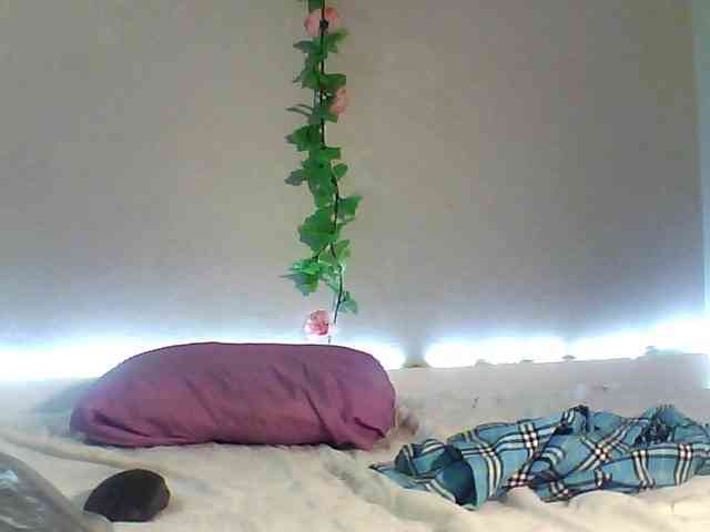 luvu4everxxx webcam