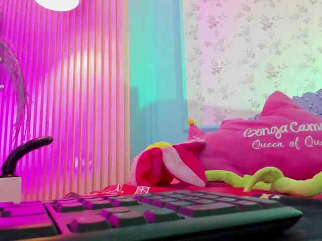 RyderParker webcam