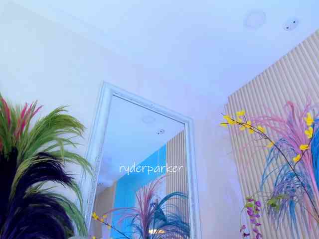 RyderParker webcam