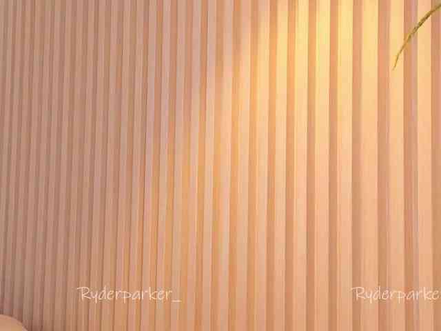 RyderParker webcam