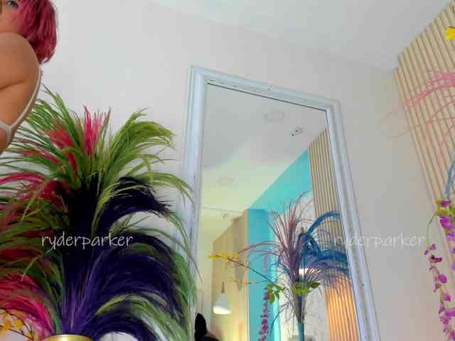 RyderParker webcam