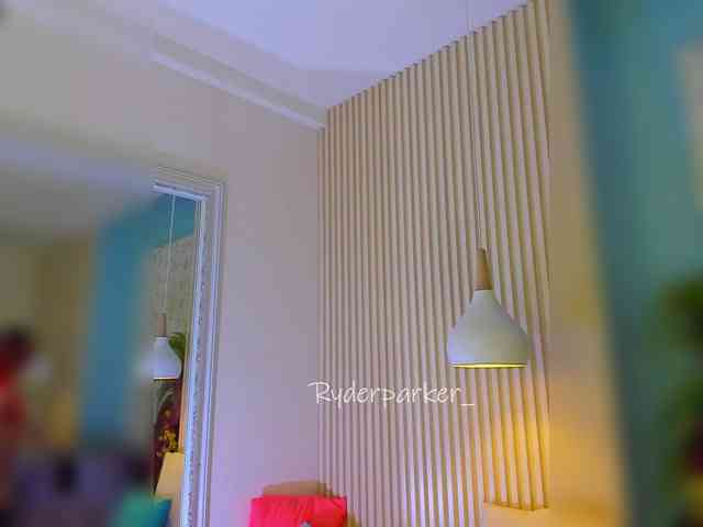 RyderParker webcam