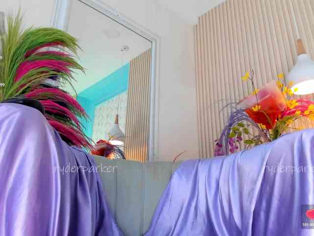 RyderParker webcam