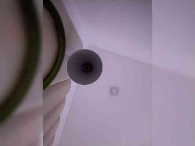 RyderParker webcam