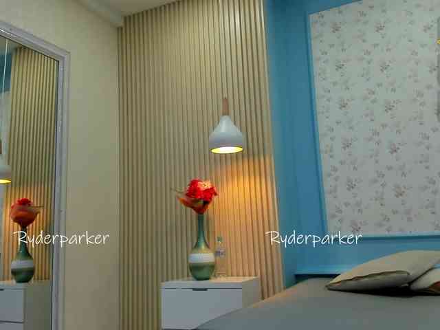 RyderParker webcam