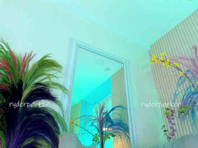 RyderParker webcam