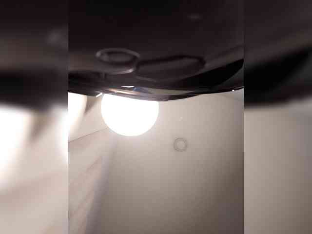 RyderParker webcam
