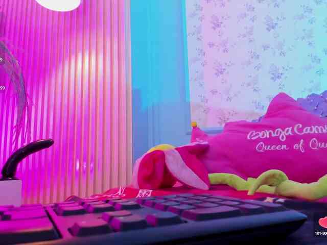 RyderParker webcam