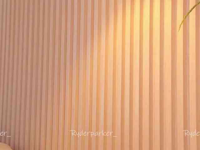 RyderParker webcam