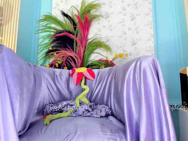 RyderParker webcam