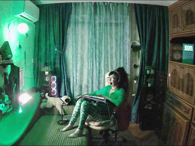 Infodar webcam