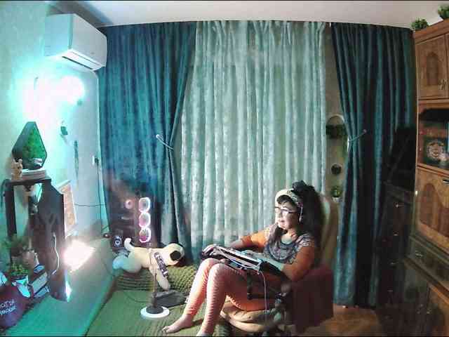 Infodar webcam