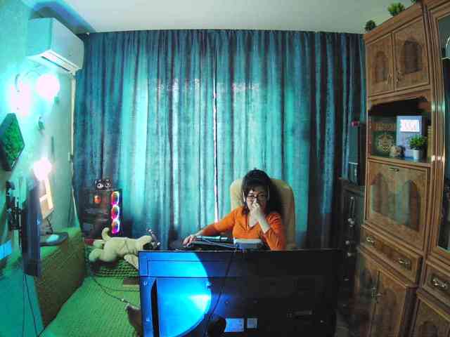 Infodar webcam