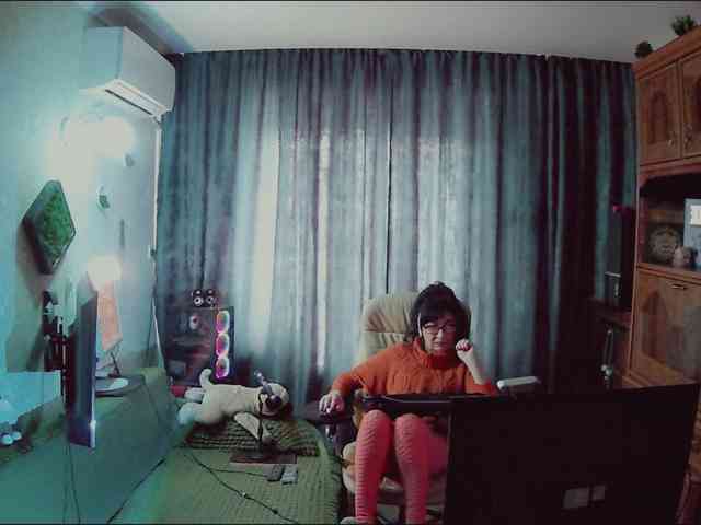 Infodar webcam