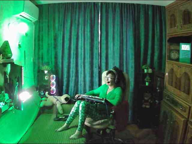 Infodar webcam