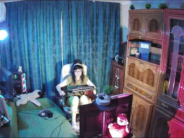 Infodar webcam