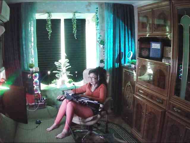 Infodar webcam
