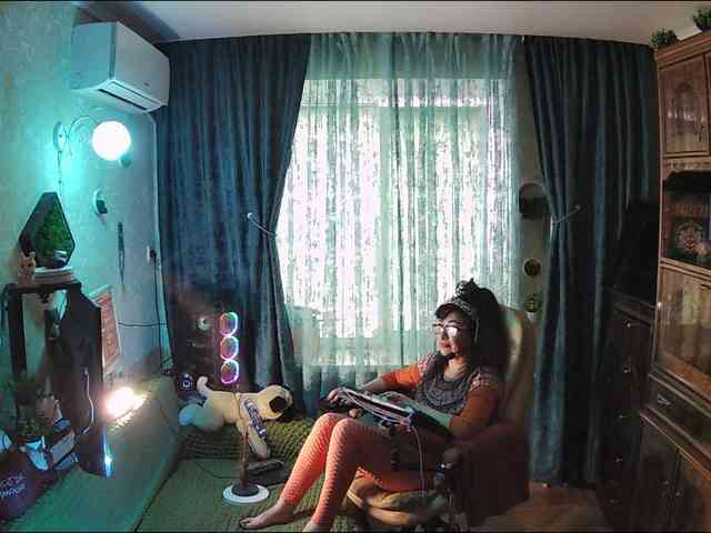 Infodar webcam