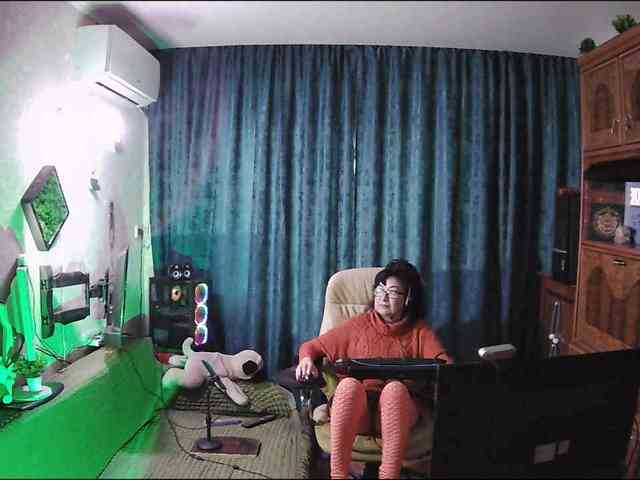 Infodar webcam