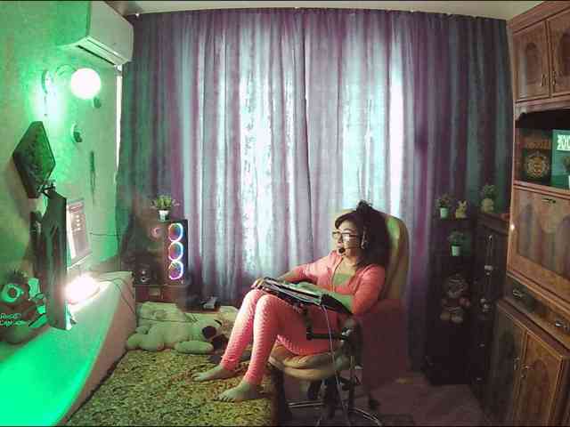Infodar webcam