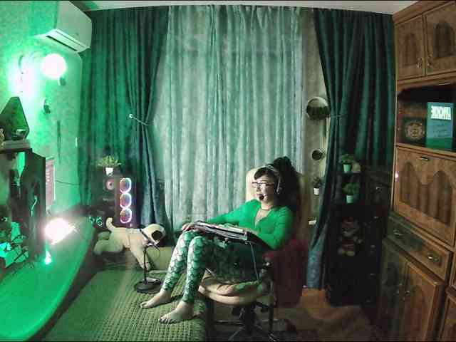 Infodar webcam
