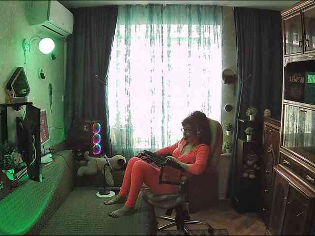 Infodar webcam