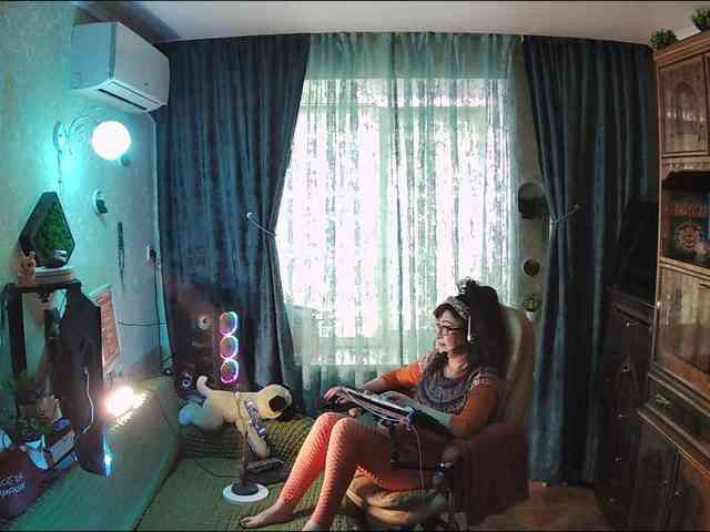 Infodar webcam