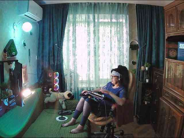 Infodar webcam