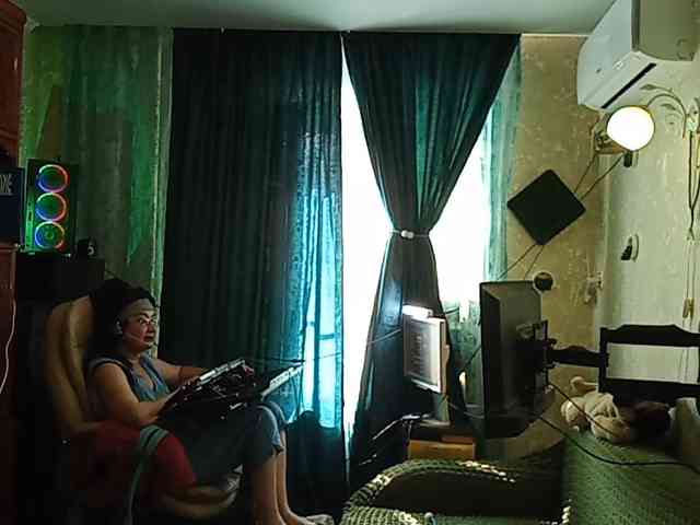 Infodar webcam