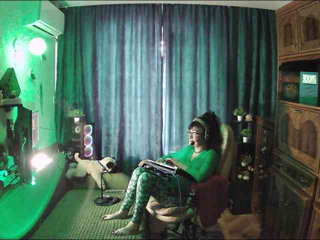 Infodar webcam