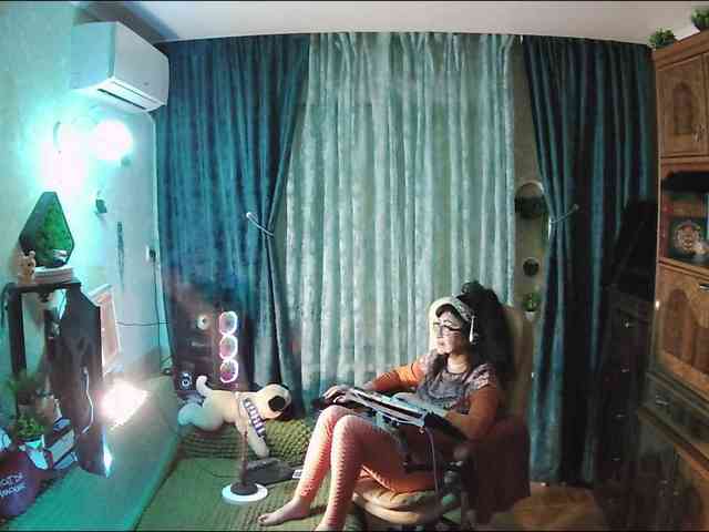 Infodar webcam