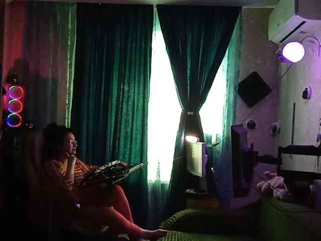Infodar webcam