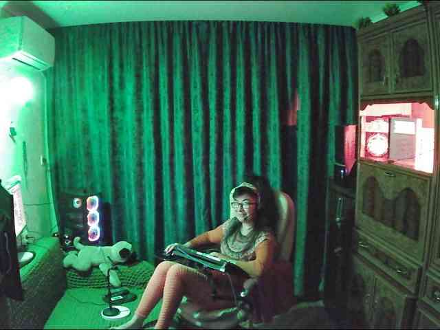 Infodar webcam