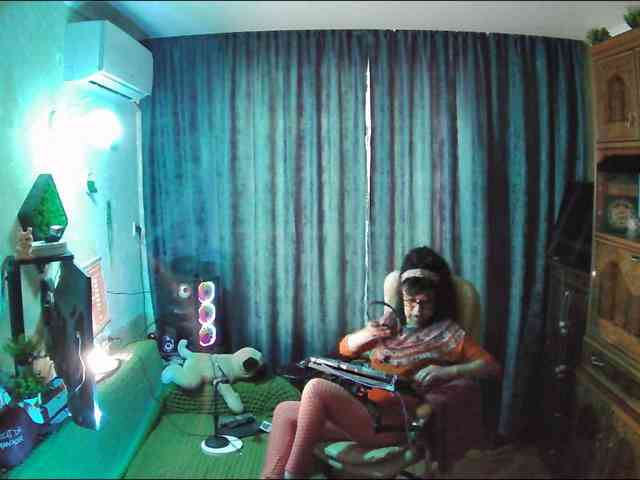 Infodar webcam