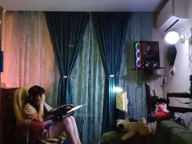 Infodar webcam