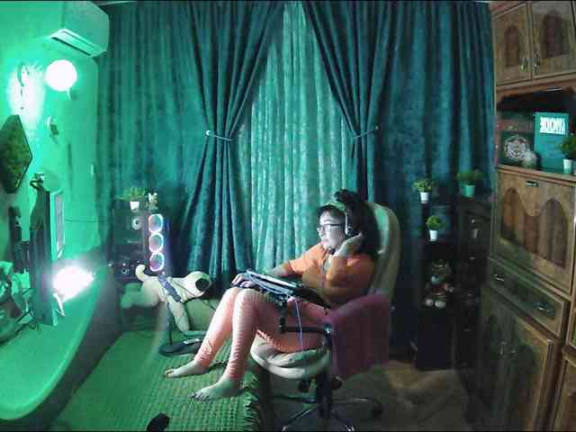 Infodar webcam