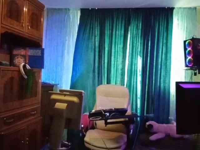 Infodar webcam
