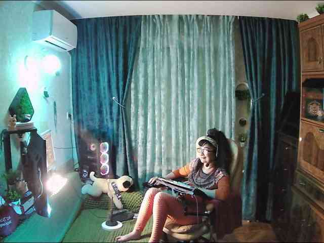 Infodar webcam