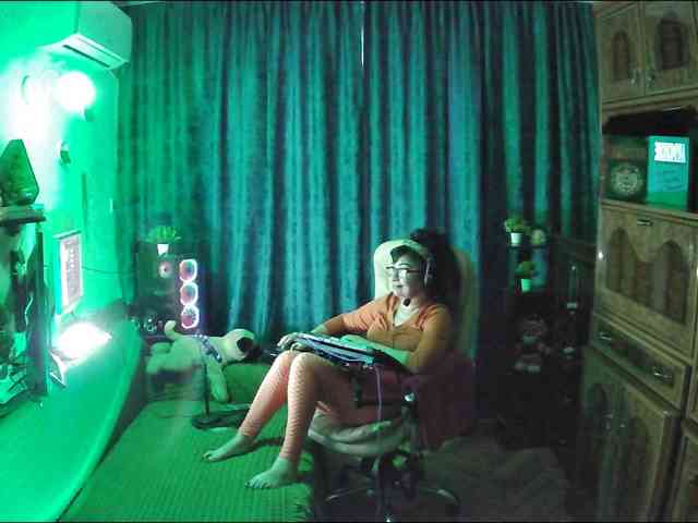 Infodar webcam