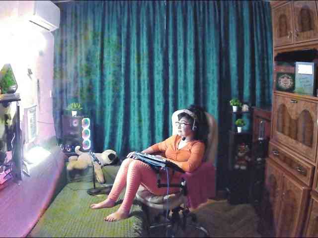Infodar webcam