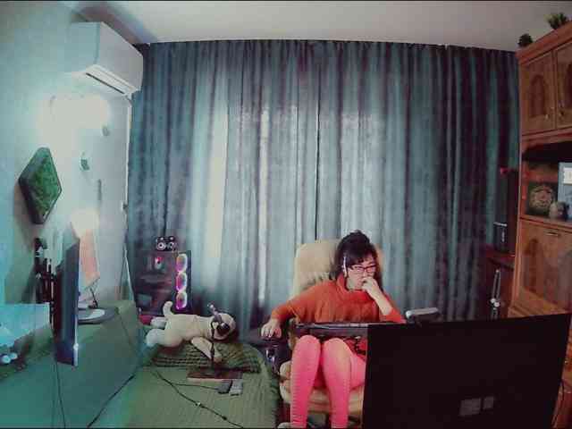 Infodar webcam