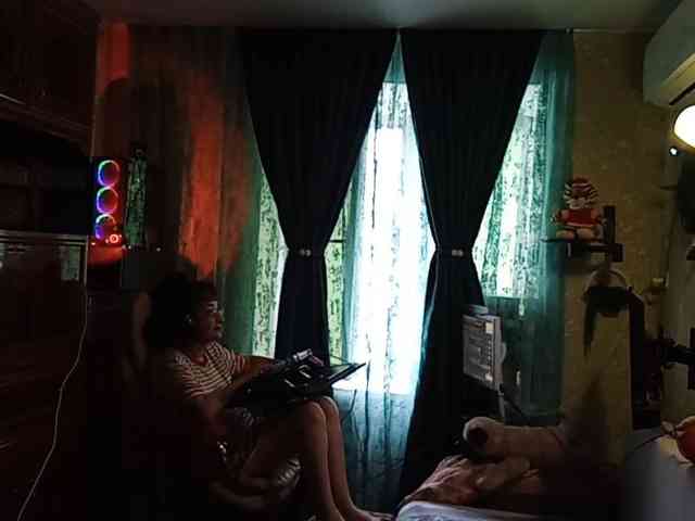 Infodar webcam
